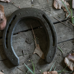 CS 4H Side Clip Pair